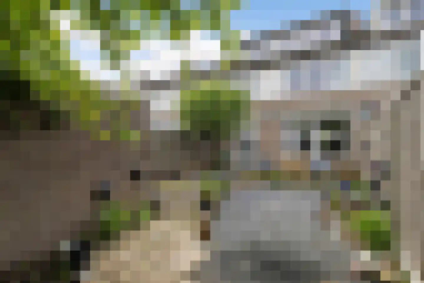 Smirnoffstraat 38 Helmond thumbnail 67