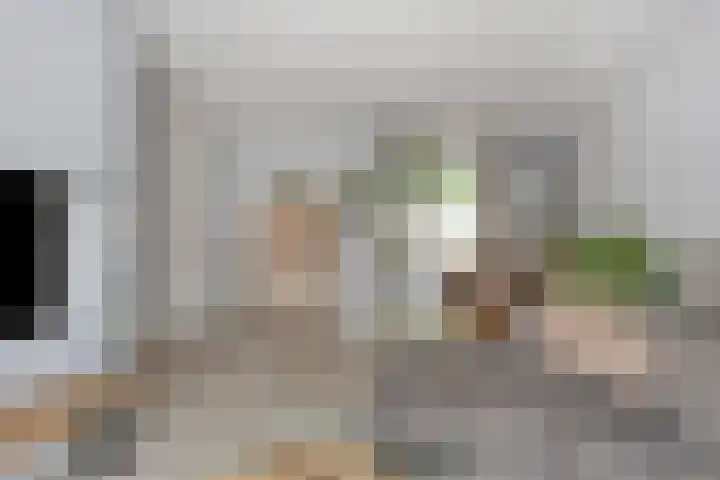 Smissenhaag 126 Maastricht thumbnail 9