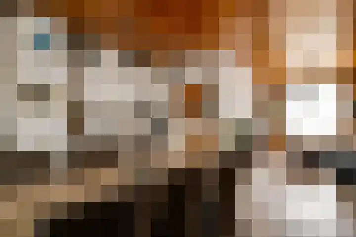 Smisserstraat 50 Nederweert thumbnail 8