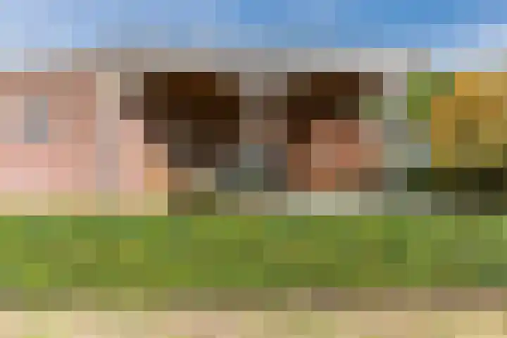 Smisserstraat 54 Nederweert thumbnail 39