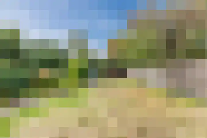 Smisserstraat 54 Nederweert thumbnail 41