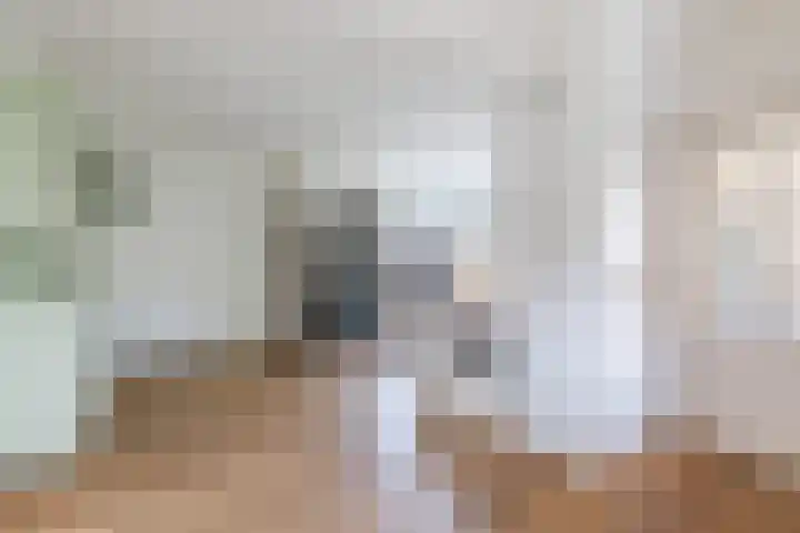 Smisserstraat 54 Nederweert thumbnail 5