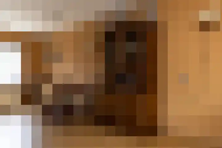 Smithstraat 16 Nunspeet thumbnail 16