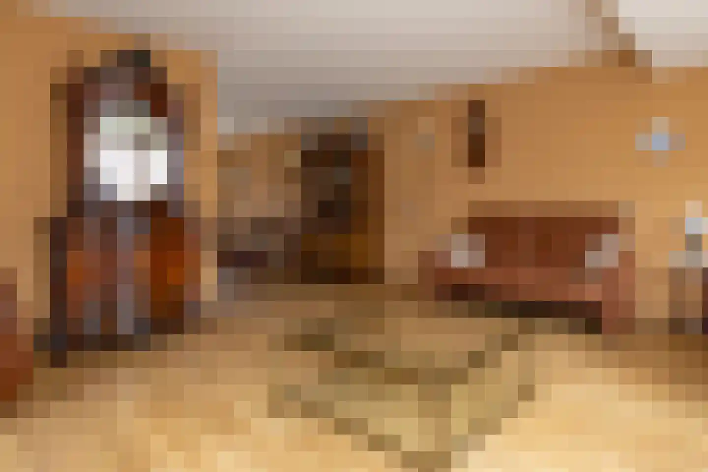 Smithstraat 16 Nunspeet thumbnail 17