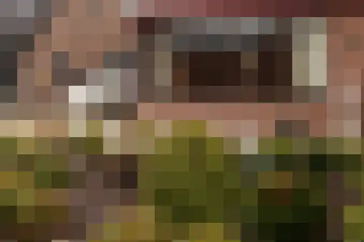 Smithstraat 16 Nunspeet thumbnail 36