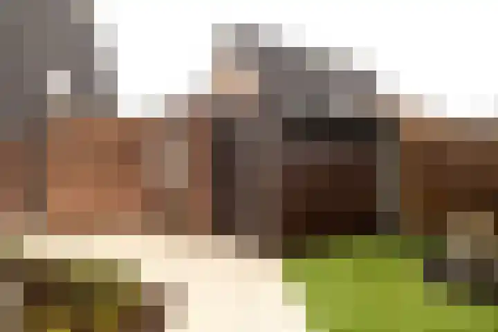 Smithstraat 16 Nunspeet thumbnail 37