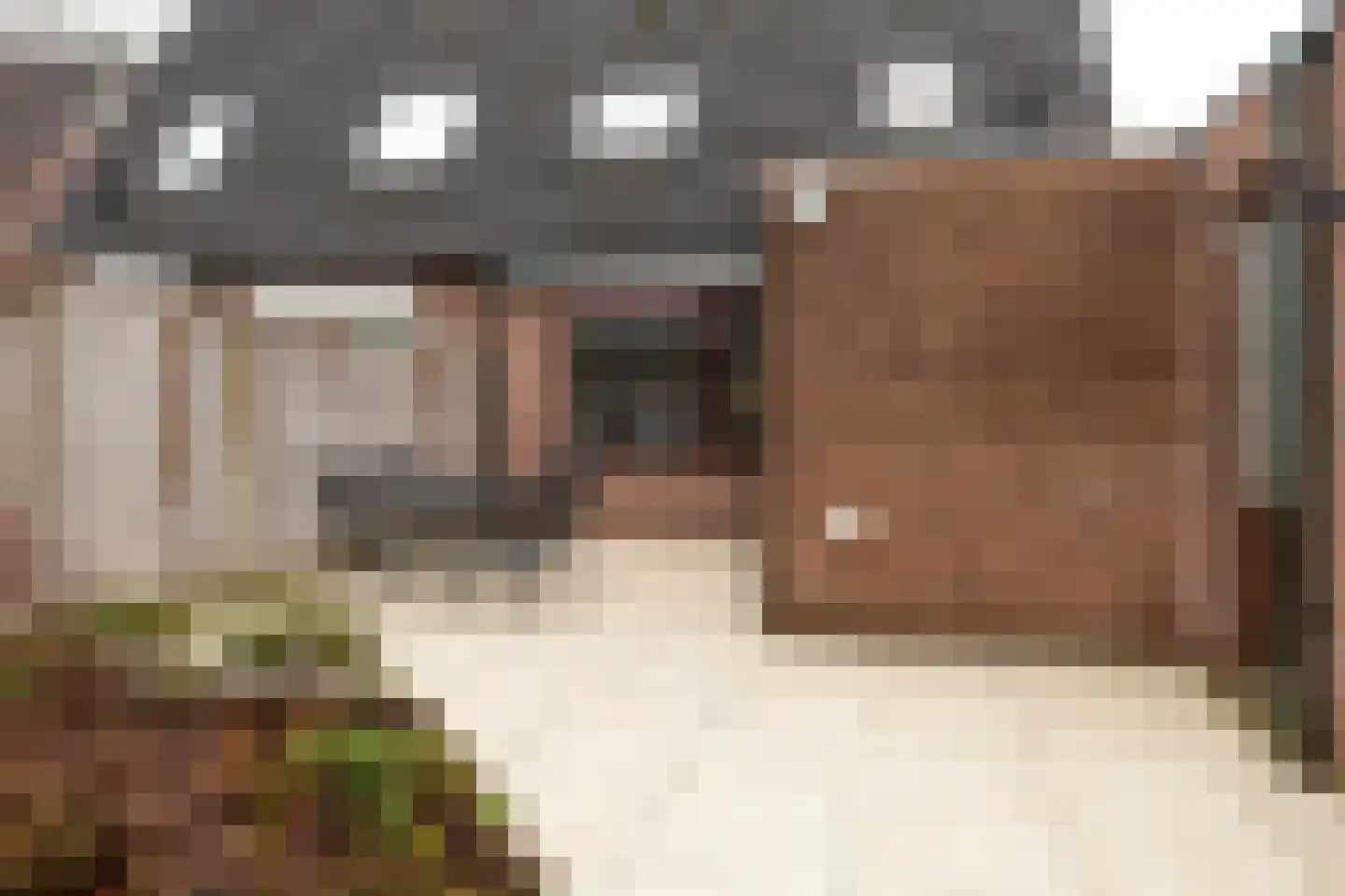 Smithstraat 16 Nunspeet thumbnail 38
