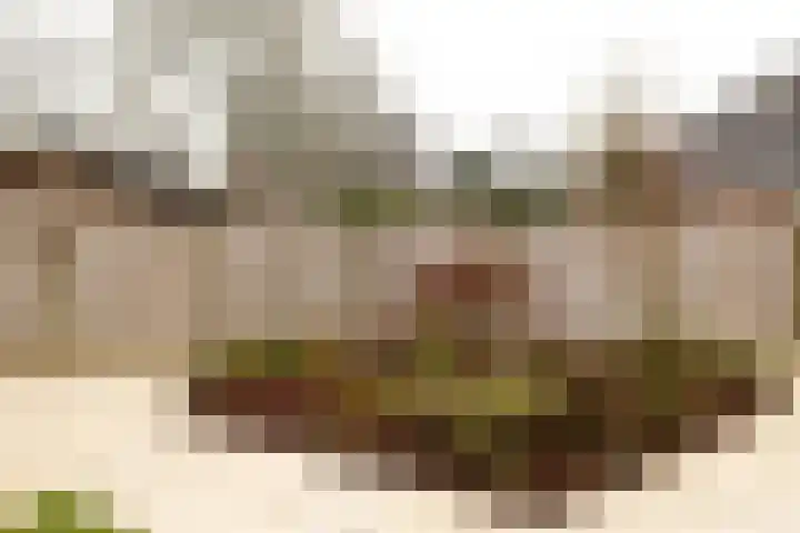 Smithstraat 16 Nunspeet thumbnail 40