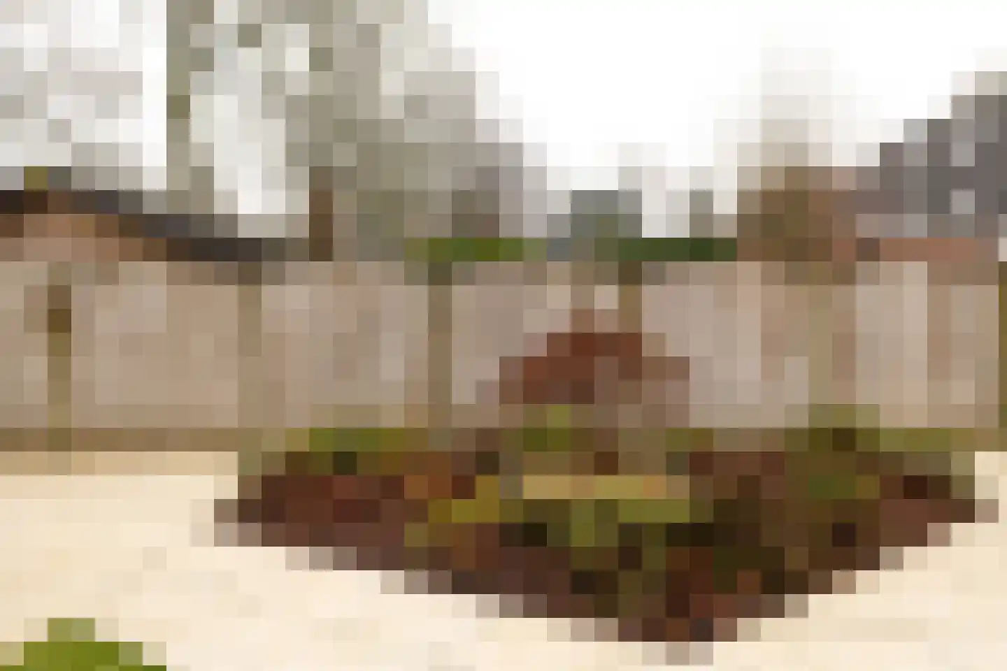 Smithstraat 16 Nunspeet thumbnail 40