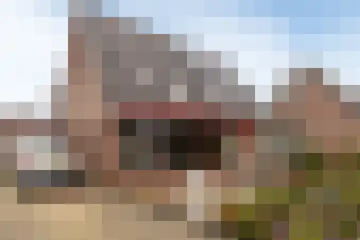 Smithstraat 16 Nunspeet thumbnail 5