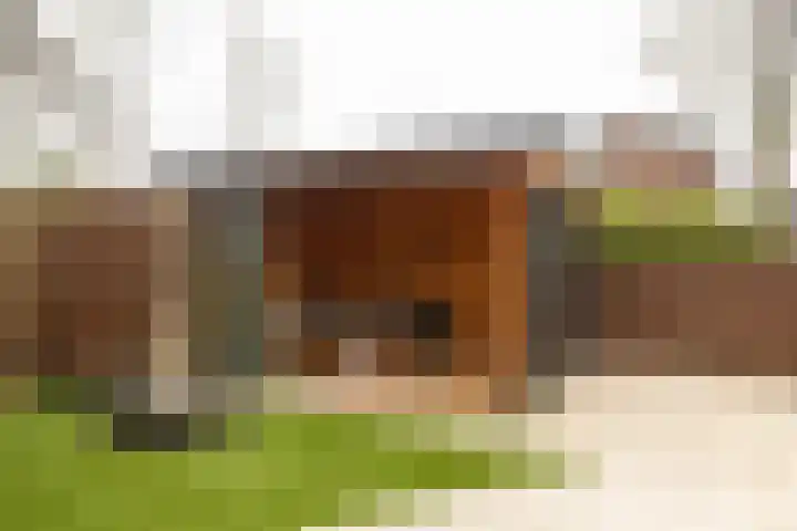 Smithstraat 16 Nunspeet thumbnail 8