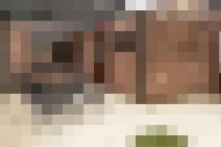 Smithstraat 16 Nunspeet thumbnail 9