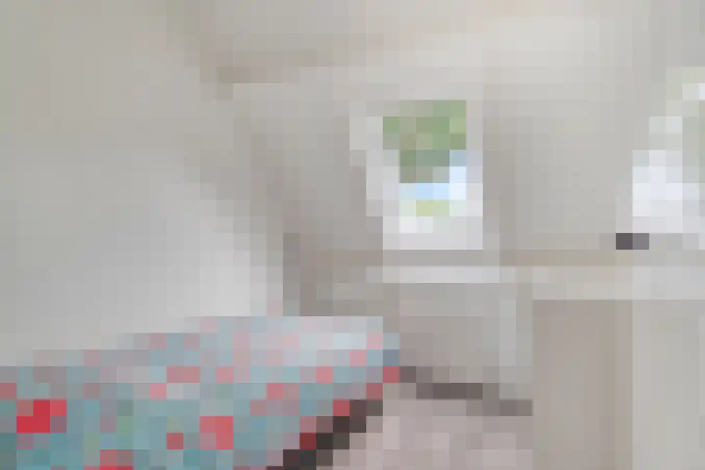 Smithstraat 20 Nunspeet thumbnail 10