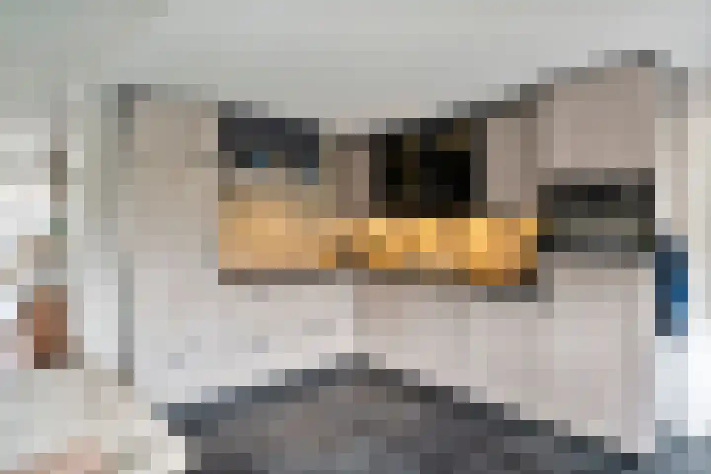Smithstraat 20 Nunspeet thumbnail 21