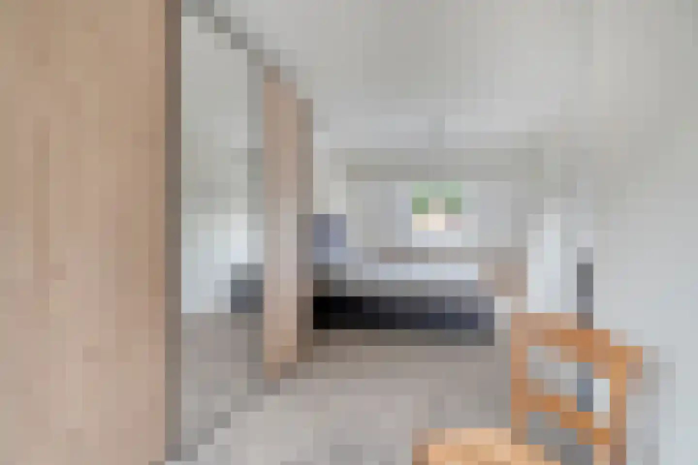 Smithstraat 20 Nunspeet thumbnail 34