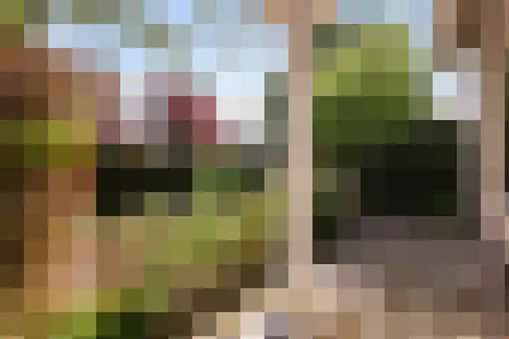 Smithstraat 48 Nunspeet thumbnail 36