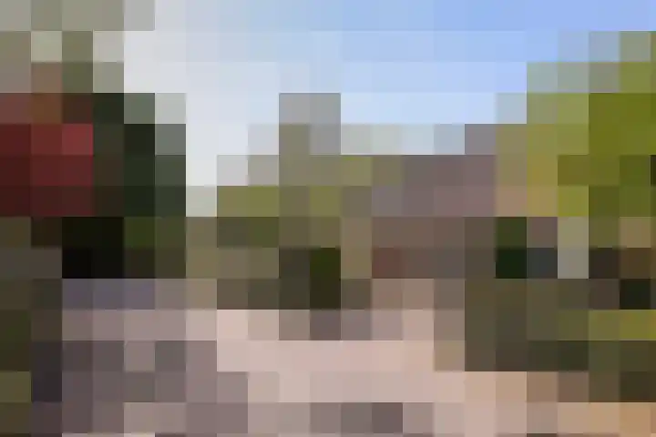 Smithstraat 48 Nunspeet thumbnail 37