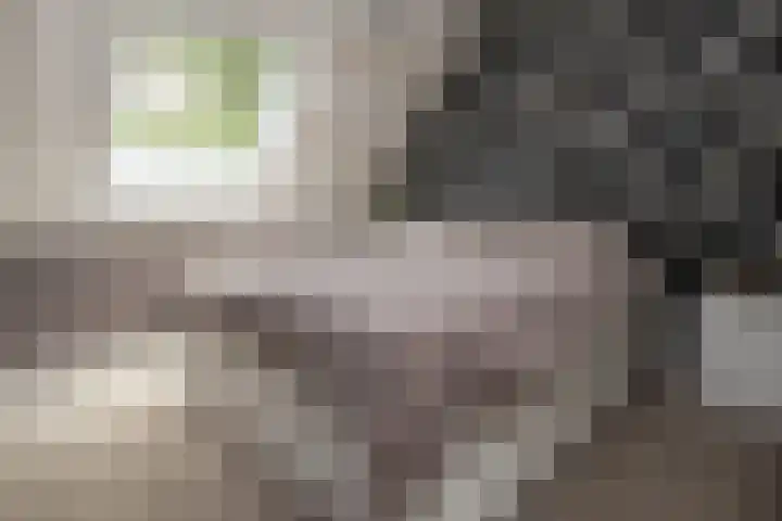Smithstraat 6 Nunspeet thumbnail 29
