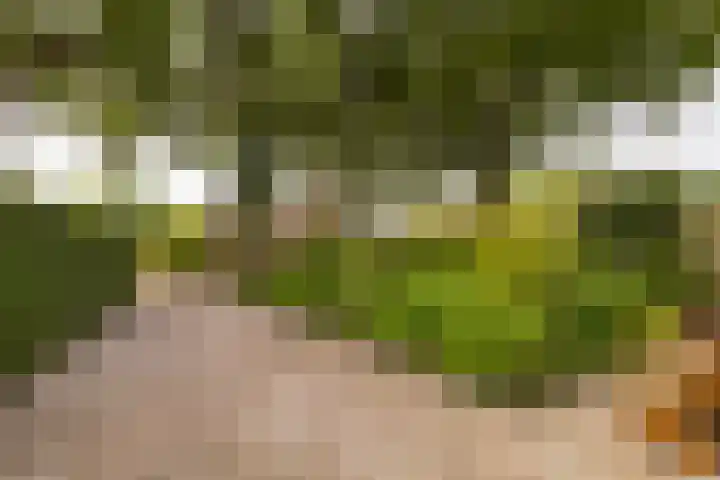 Smithstraat 6 Nunspeet thumbnail 43