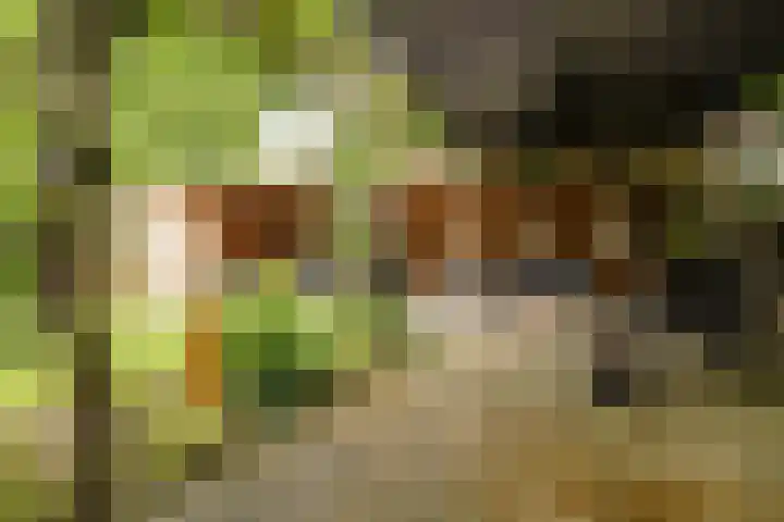 Smithstraat 6 Nunspeet thumbnail 7