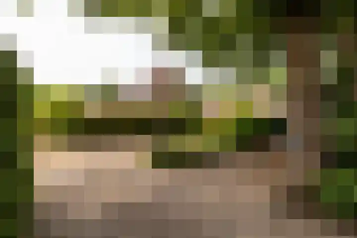 Smithstraat 6 Nunspeet thumbnail 8