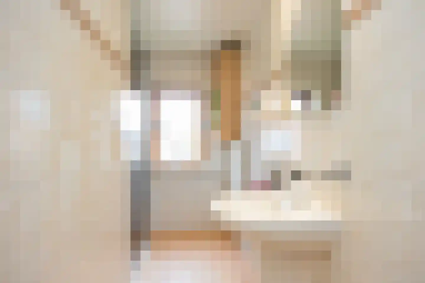 Smithuisstraat 40 Ootmarsum thumbnail 20