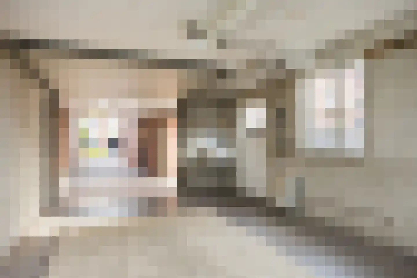Smithuisstraat 40 Ootmarsum thumbnail 24