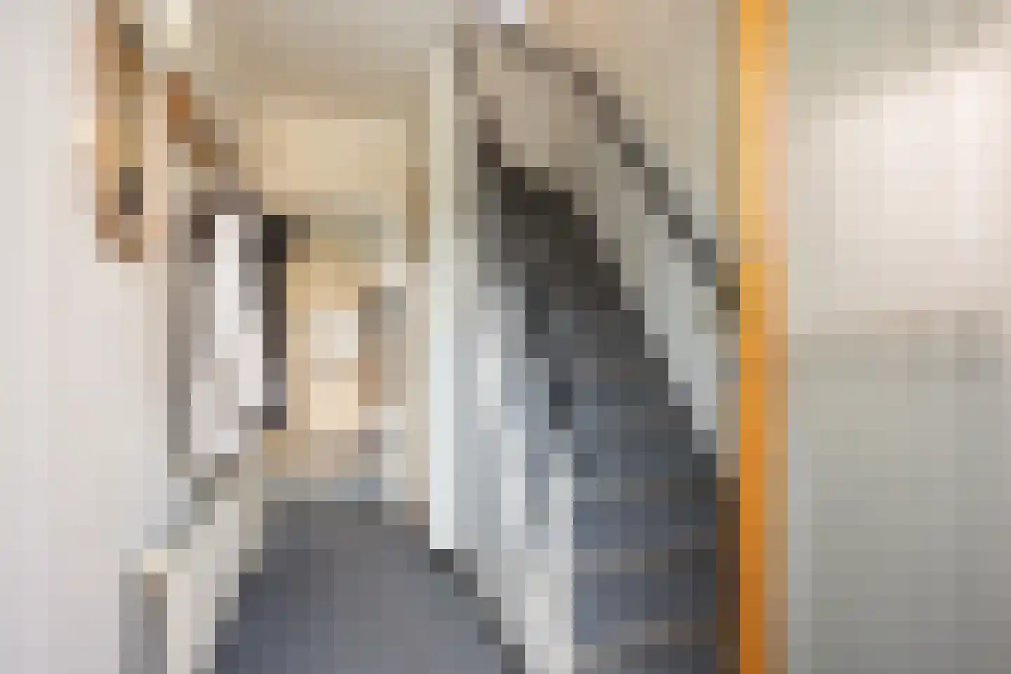 Smithuisstraat 40 Ootmarsum thumbnail 6