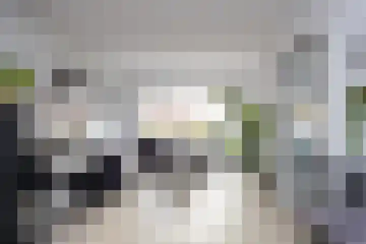 Smithuisstraat 51 Ootmarsum thumbnail 6
