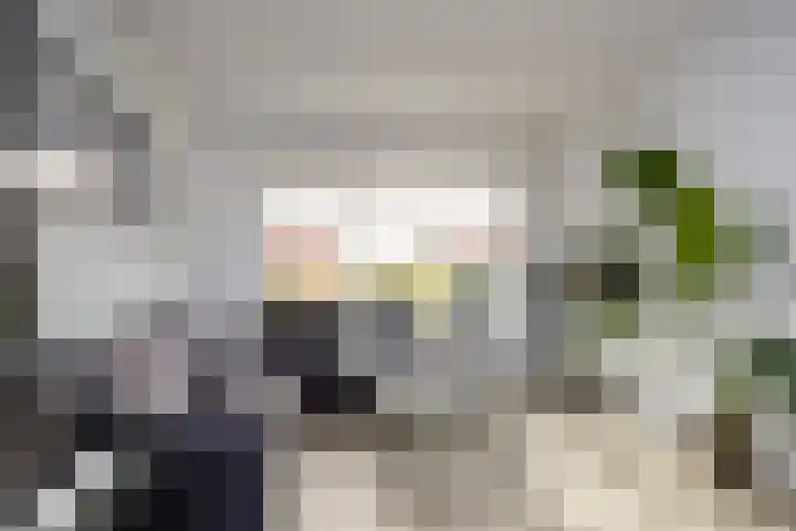 Smithuisstraat 51 Ootmarsum thumbnail 7