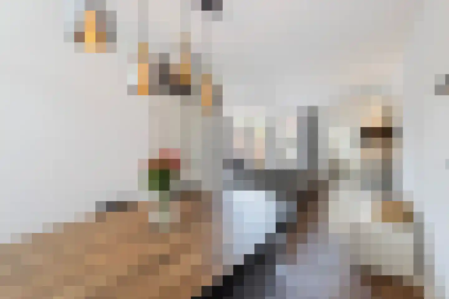 Smitjan 18 Markelo thumbnail 10
