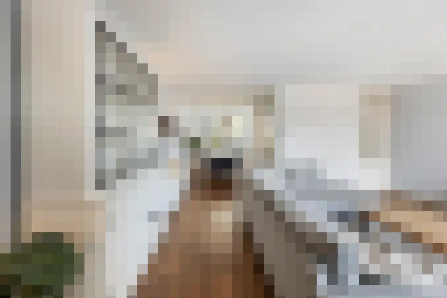 Smitjan 18 Markelo thumbnail 14