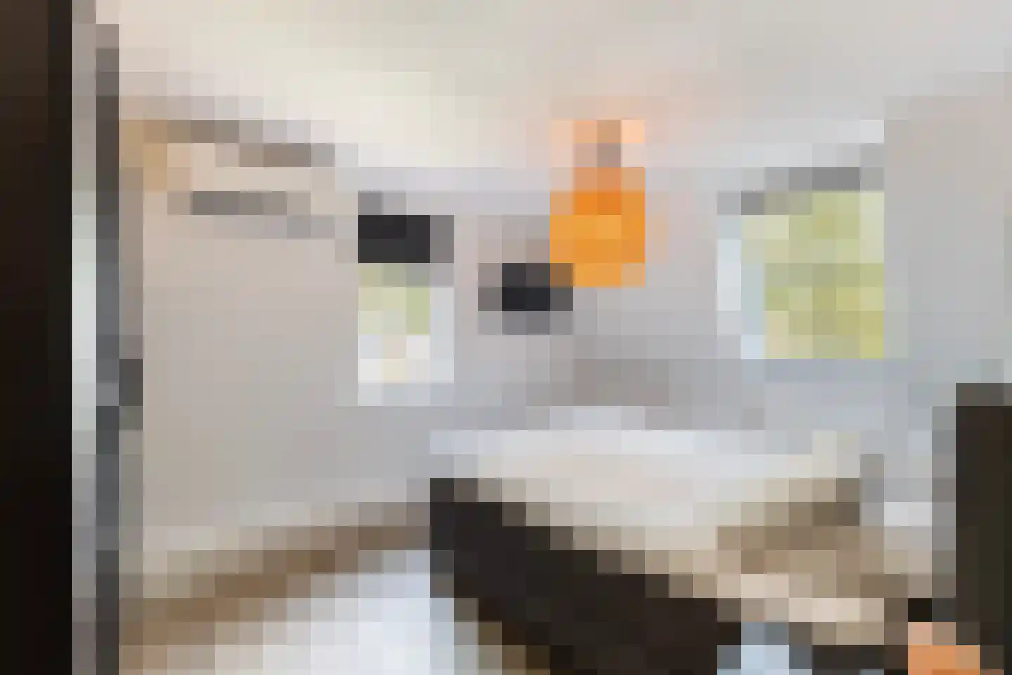 Smitjan 18 Markelo thumbnail 17