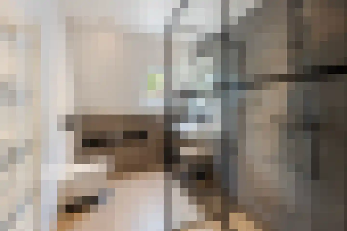 Smitjan 18 Markelo thumbnail 18