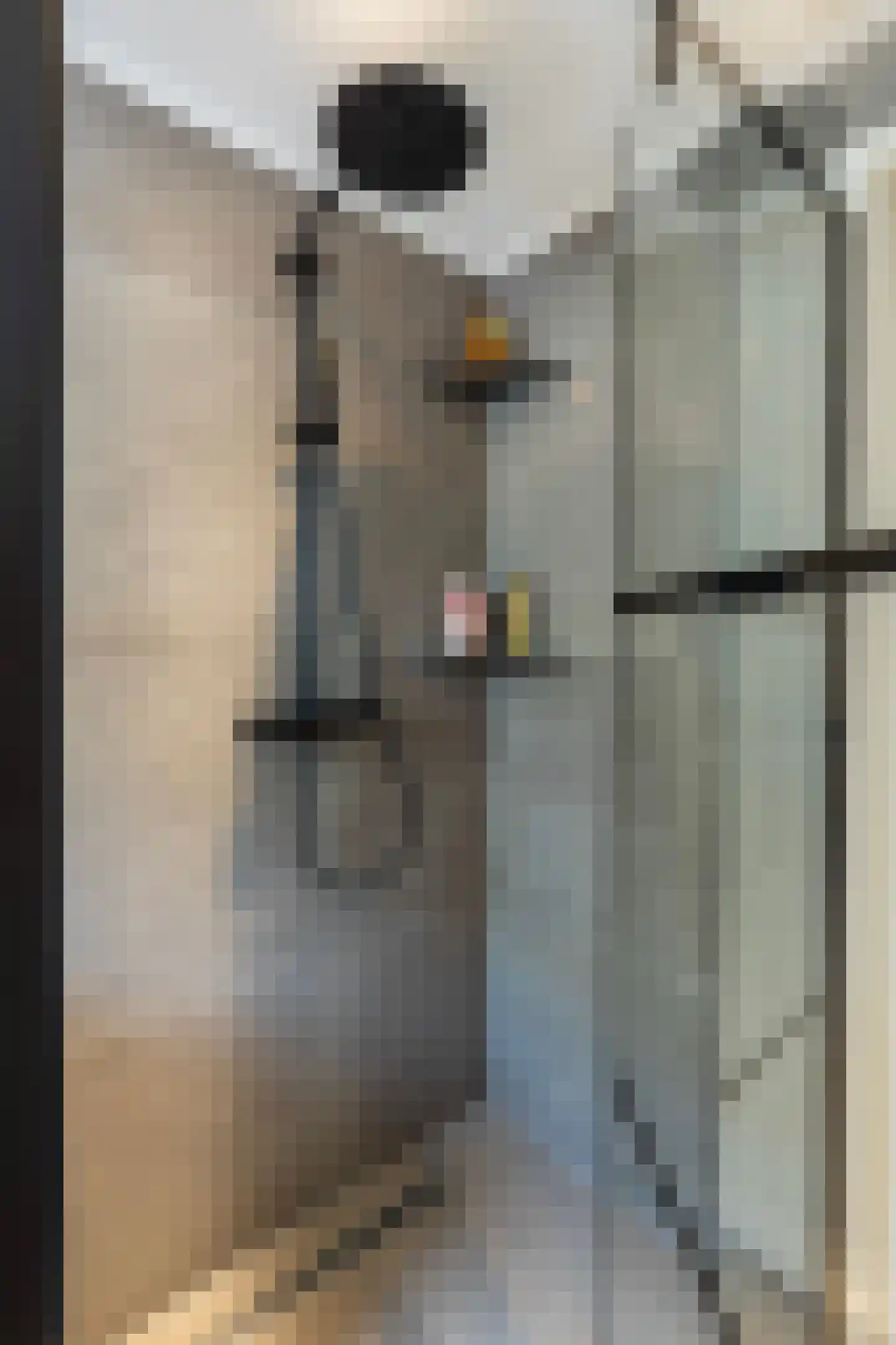 Smitjan 18 Markelo thumbnail 20