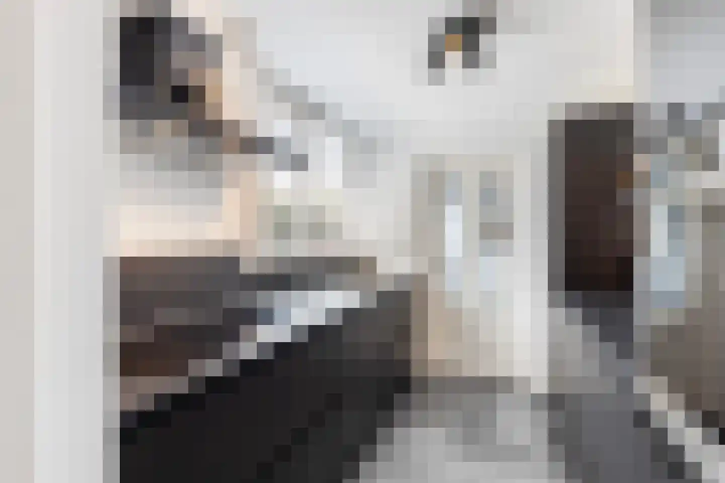 Smitjan 18 Markelo thumbnail 8