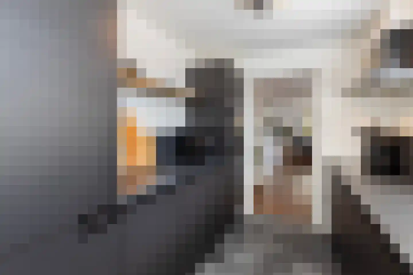 Smitjan 18 Markelo thumbnail 9