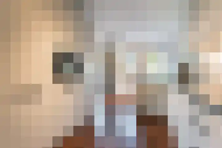 Smits van Oijenweg 20 Oijen thumbnail 12