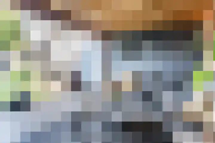 Smits van Oijenweg 20 Oijen thumbnail 30