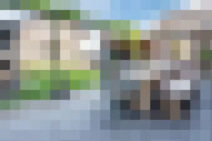Smits van Oijenweg 20 Oijen thumbnail 32