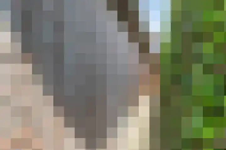 Smits van Oijenweg 20 Oijen thumbnail 33