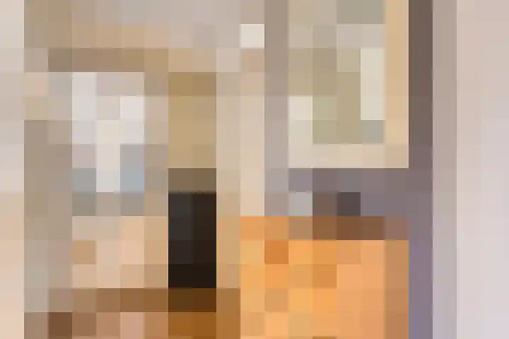 Smits van Oyenlaan 4 b Maarheeze thumbnail 12