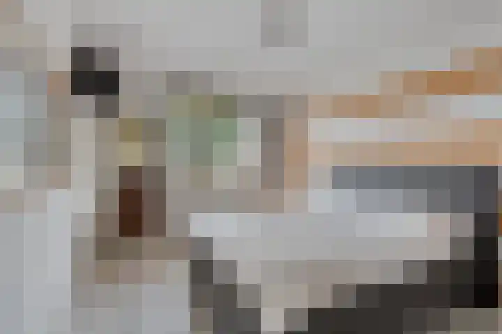 Smits van Oyenlaan 4 b Maarheeze thumbnail 13