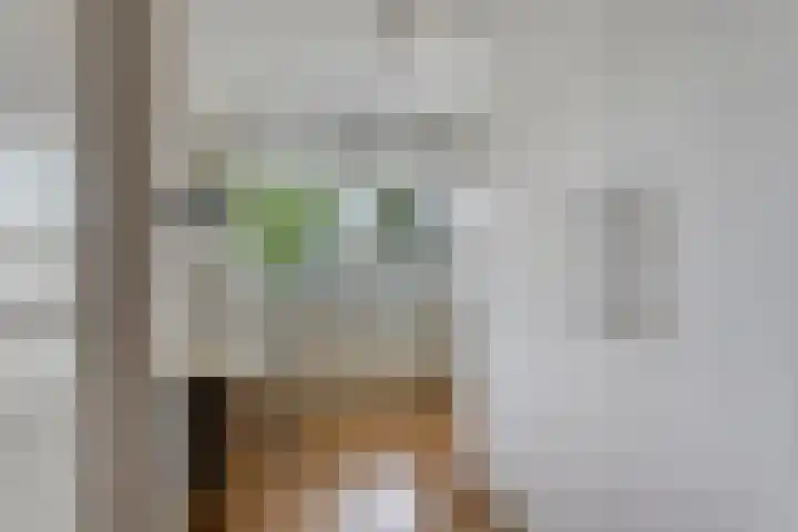 Smits van Oyenlaan 4 b Maarheeze thumbnail 15