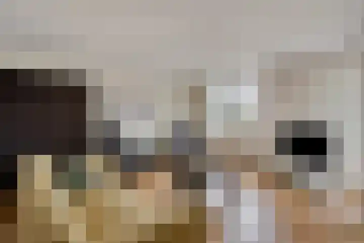 Smits van Oyenlaan 4 b Maarheeze thumbnail 22
