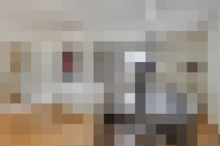 Smits van Oyenlaan 4 b Maarheeze thumbnail 24