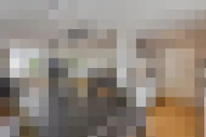 Smits van Oyenlaan 4 b Maarheeze thumbnail 25