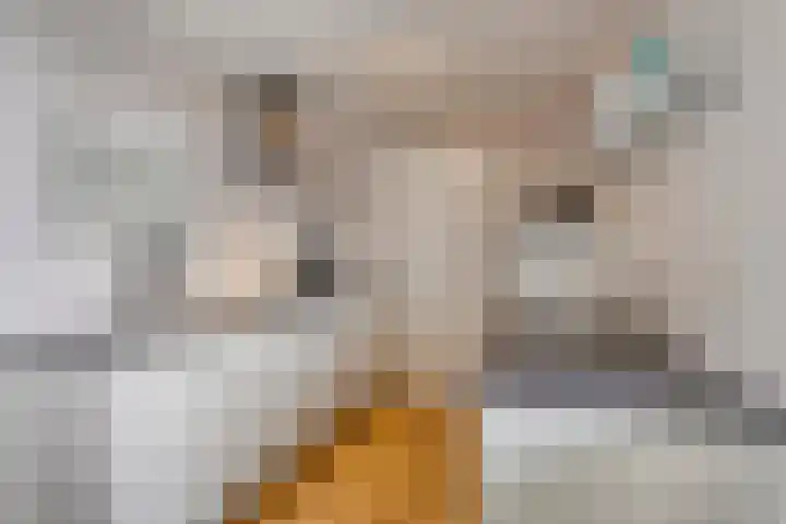 Smits van Oyenlaan 4 b Maarheeze thumbnail 27