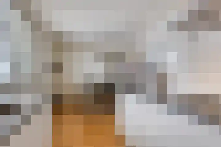 Smits van Oyenlaan 4 b Maarheeze thumbnail 28
