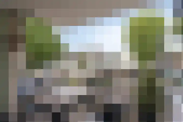 Smits van Oyenlaan 4 b Maarheeze thumbnail 29